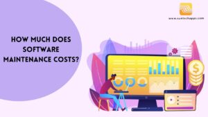 How Much Does Software Maintenance Costs?